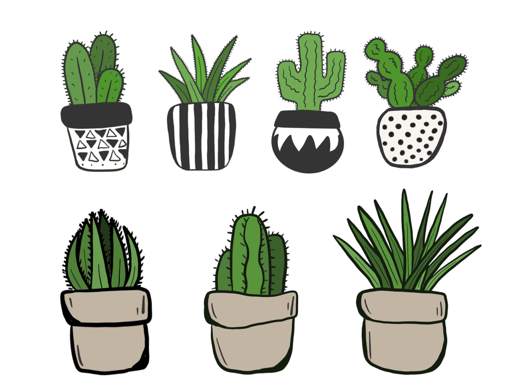 What Are The Best Plants For A Shaded Area?