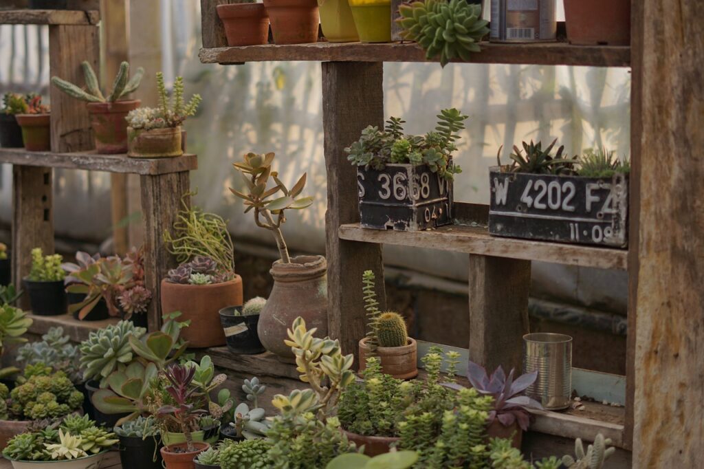 What Are The Best Plants For A Shaded Area?