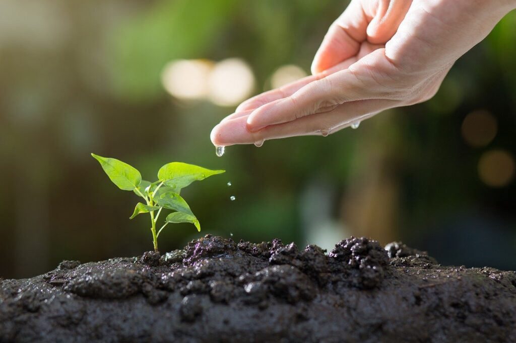 What Is The Best Way To Deal With Compacted Soil?
