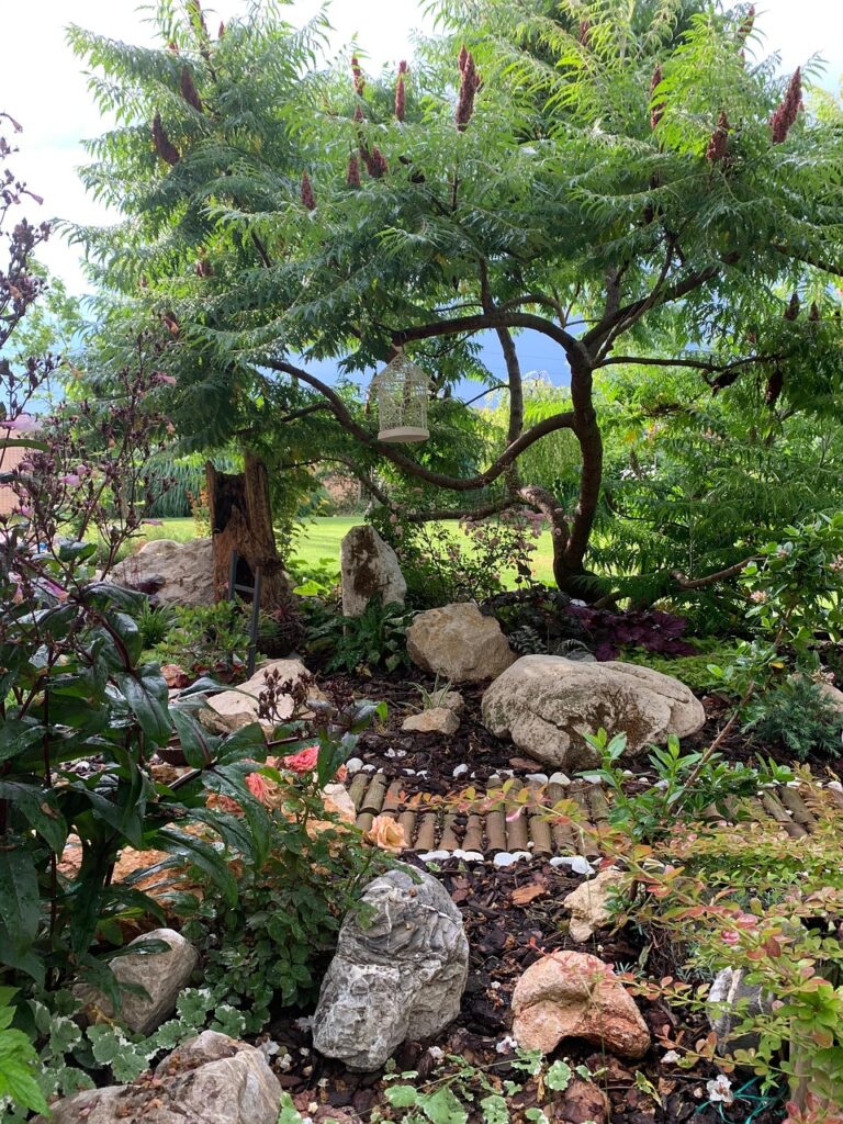 What Are Low-maintenance Landscaping Ideas?