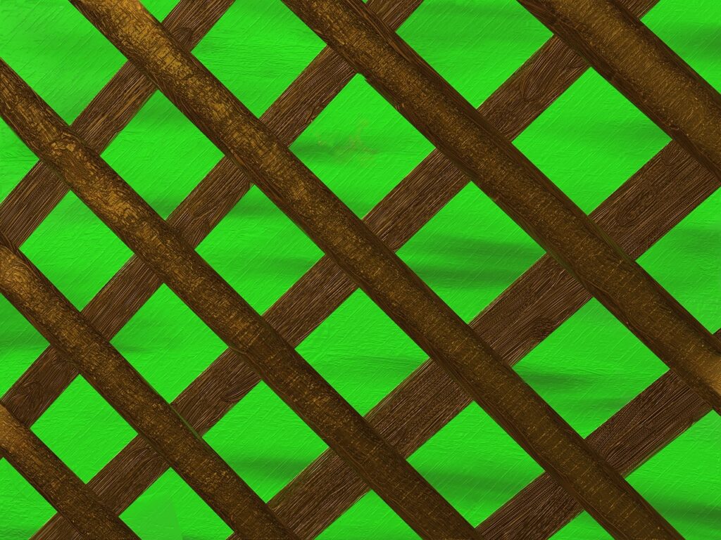How Do I Create A Privacy Screen With Plants?